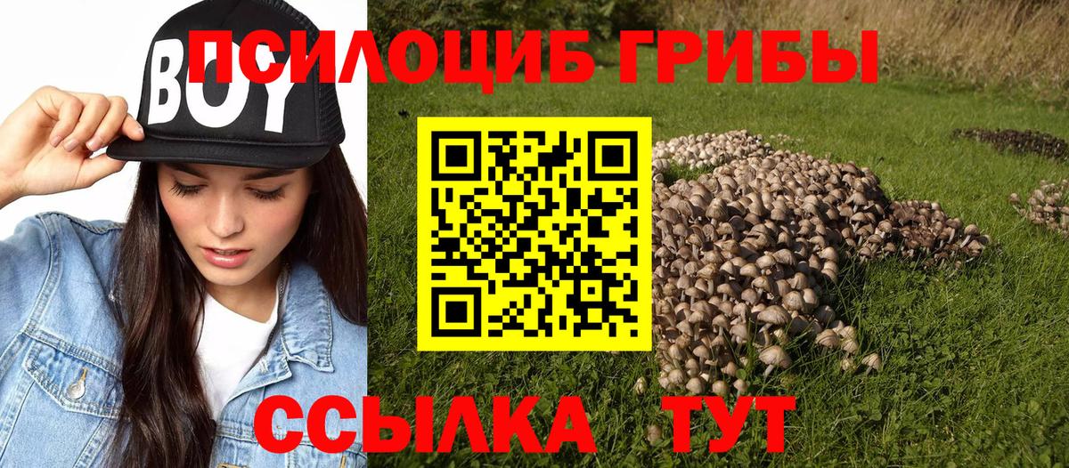 Гулькевичи  Псилоцибиновые грибы ЛСД  как найти закладки  Вход с VPN  Псилоцибиновые грибы мухоморы 